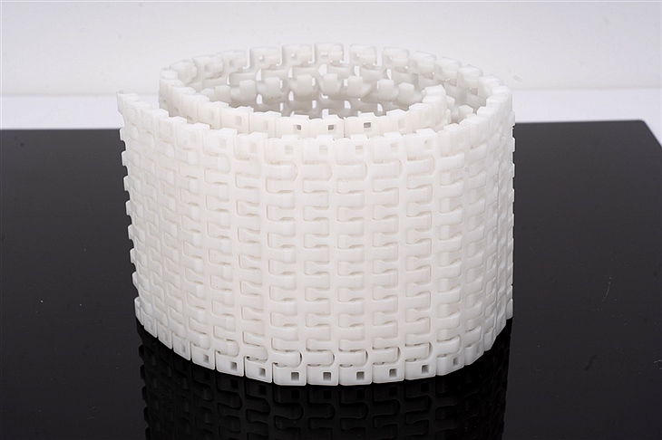 柔性鏈板輸送帶